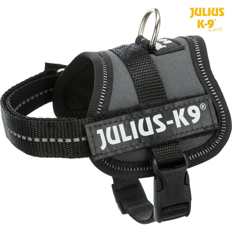 150116 Julius-K9® Powerharness, Mini-Mini/S: 40–53 cm/22 mm, anthracite