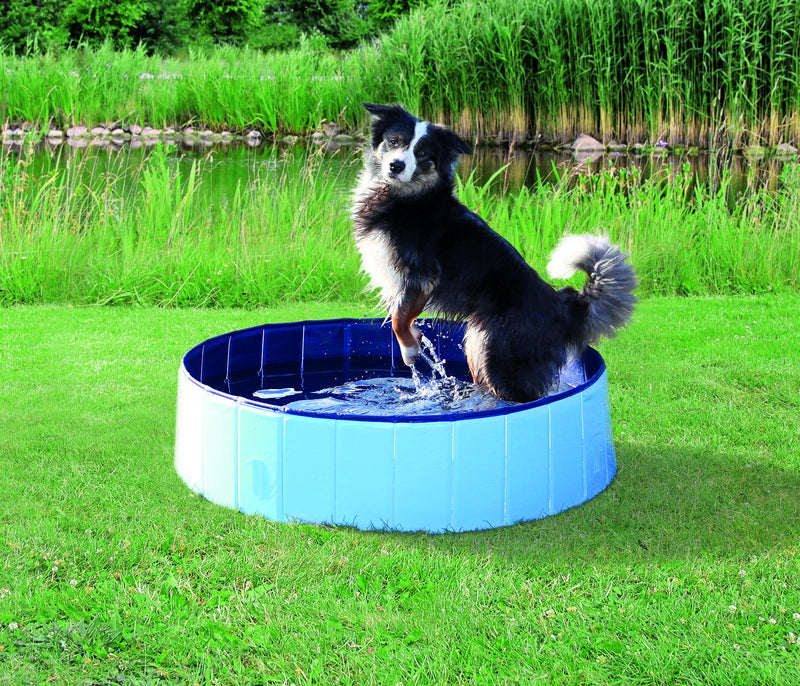 39483 Dog Pool, diam. 160 x 30 cm, light blue/blue