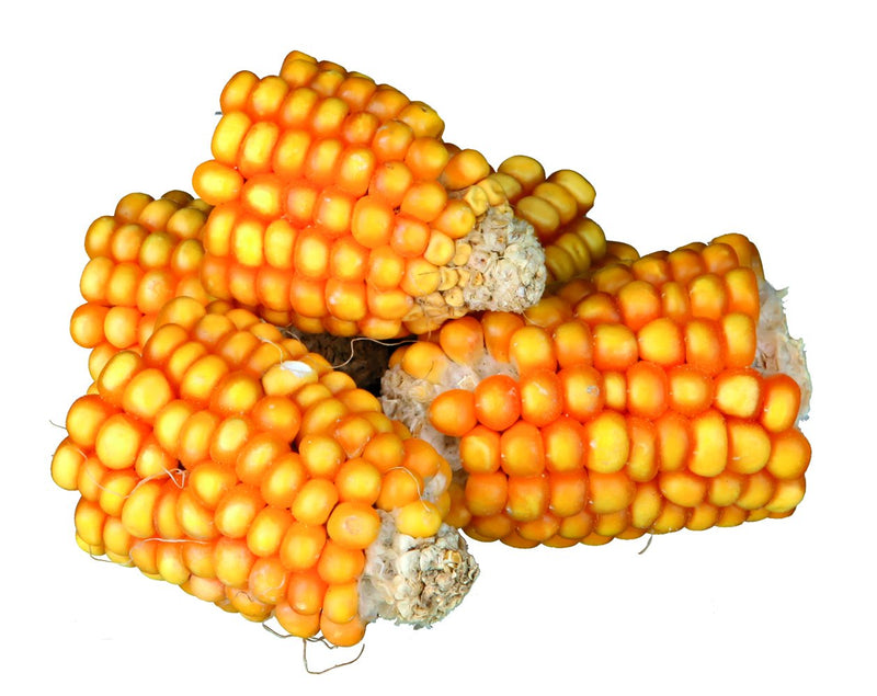 60289 Pieces of maize cobs, 300 g