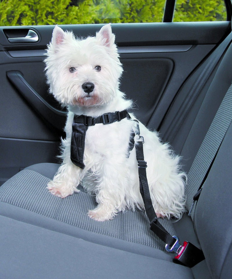 1290 Car harness, S: 30-60 cm, black