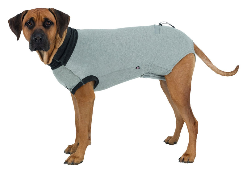 19538 Protective body, L-XL: 62 cm, grey