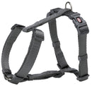 203316 Premium H-harness, S-M: 42-60 cm/15 mm, graphite