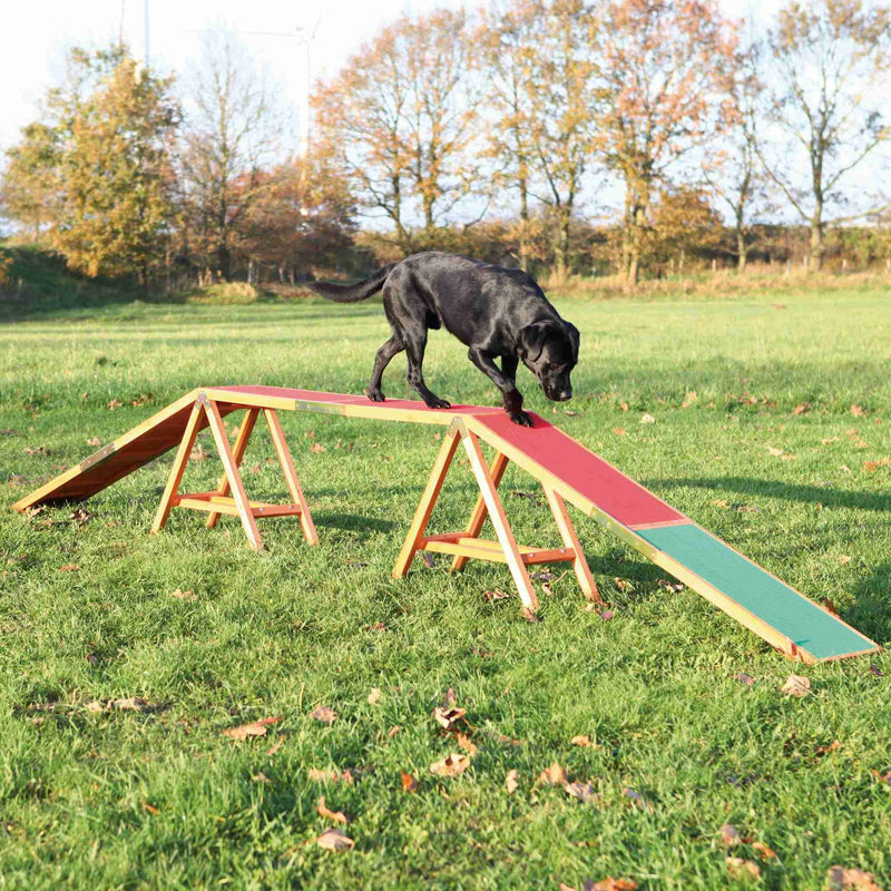 32090 Dog Activity Agility dogwalk, 456 x 64 x 30 cm