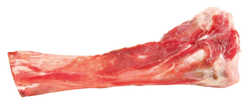 31412 Pig tibia bone, 17 cm, 200 g