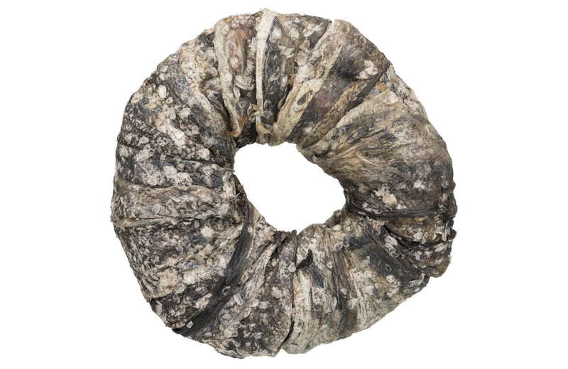 313341 Denta Fun Fish Chewing Ring, bulk,  10 cm, 110 g