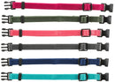 15552 Junior set of puppy collars, S-M: 17-25 cm/10 mm, fuchsia, graphite, indigo, forest, coral, ocean
