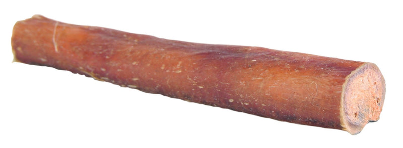 2705 Bull pizzle, 12 cm