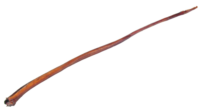 2707 Bull pizzle, 70-80 cm