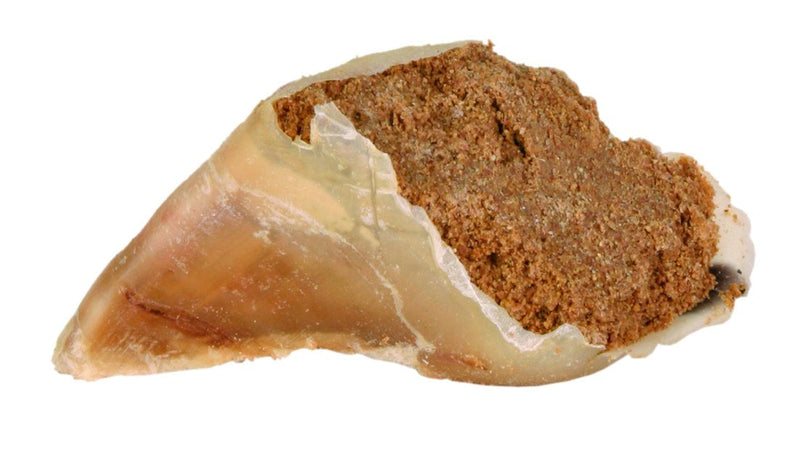 2763 Chewing hoof, with meat filling, 115 g