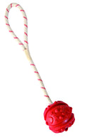 33481 Ball on a rope, natural rubber, floatable, diam. 4.5 cm/35 cm