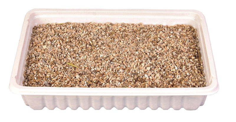 4235 Cat grass dish, bowl/approx. 100 g