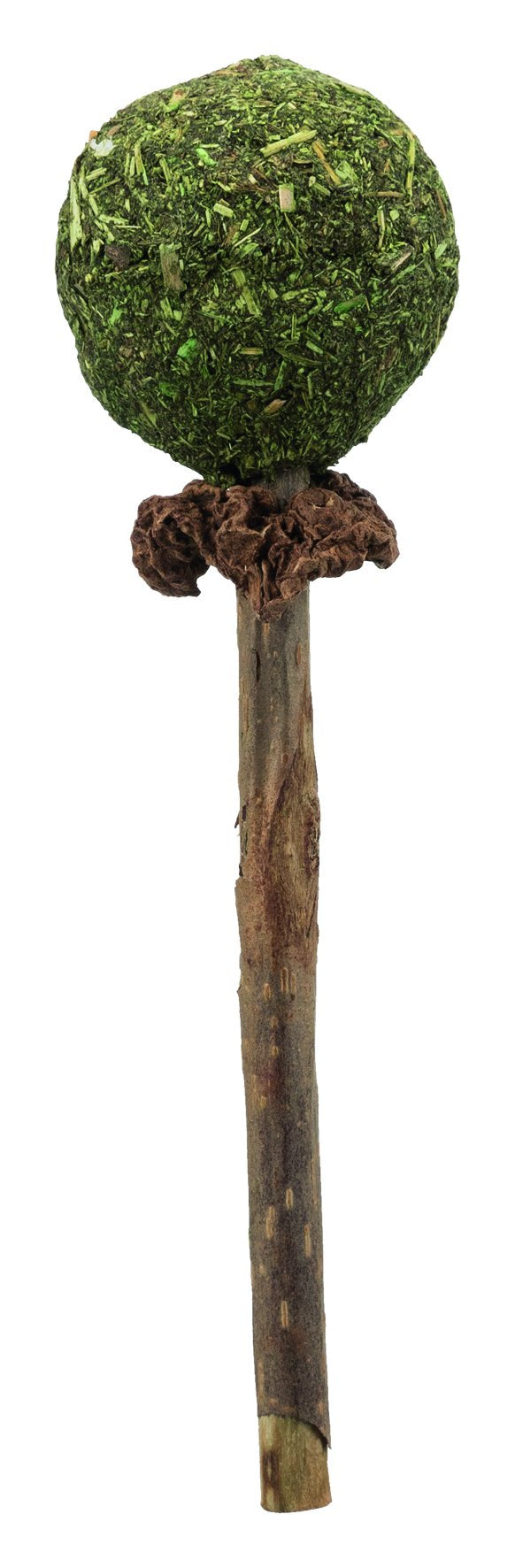42430 Matatabi Lolly, 11 cm