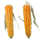 60288 Maize cobs with husk, 2 pcs./250 g