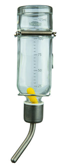 60443 Water bottle, glass, 500 ml