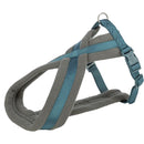 203832 Premium touring harness, S-M: 40-70 cm/20 mm, petrol