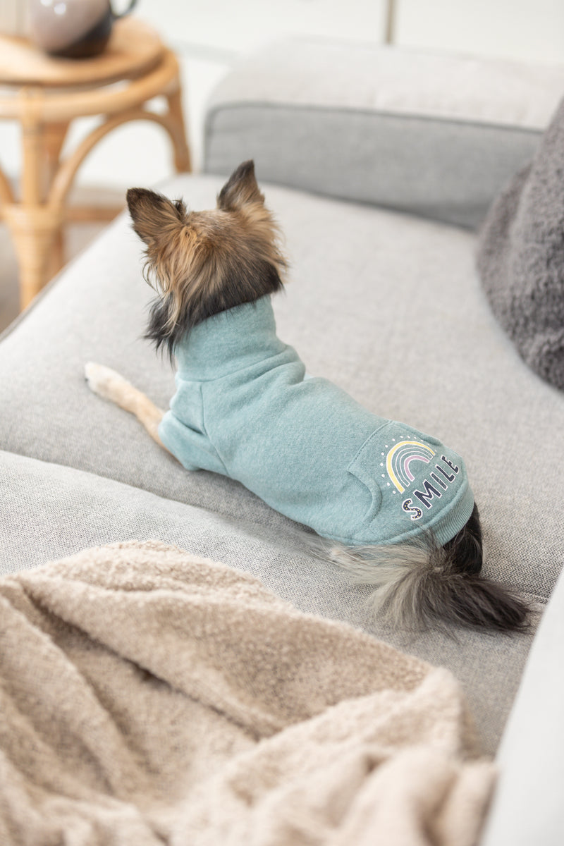 680810 Littleton sweatshirt, XXS: 18 cm, mint