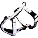 1199916 Premium Reflect H-harness, L-XL: 68-100 cm/25 mm, graphite