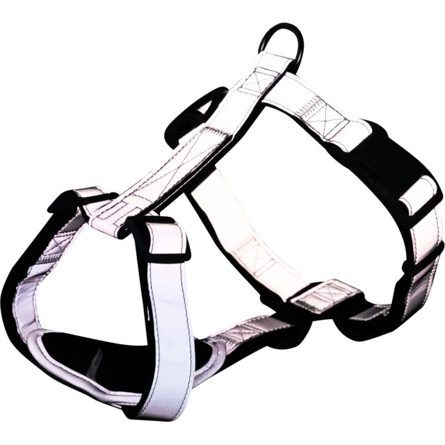 1199816 Premium Reflect H-harness, M-L: 55-75 cm/25 mm, graphite