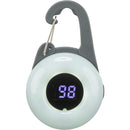 13454 Flasher USB, 4 x 6.5 cm, graphite