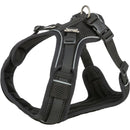 1989101 Premium FlexMesh harness, wide fit, XS-S: 40-57 cm/15 mm, black