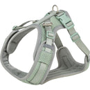 1989134 Premium FlexMesh harness, wide fit, XS-S: 40-57 cm/15 mm, sage