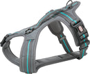 207537 Fusion touring harness, M-L: 61-75 cm/30 mm, graphite/ocean