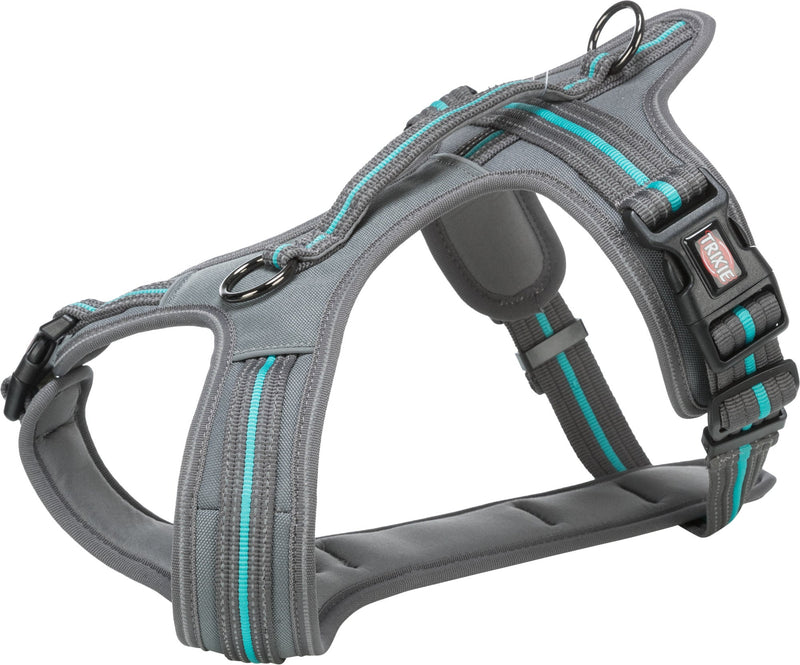 207536 Fusion touring harness, M: 51-66 cm/20 mm, graphite/ocean