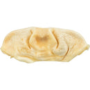 27230 Buffalo snout, dried, bulk, 20 cm