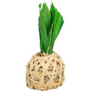 61917 Pineapple, bamboo with corn leaves and hay, 6.5 x 14 cm