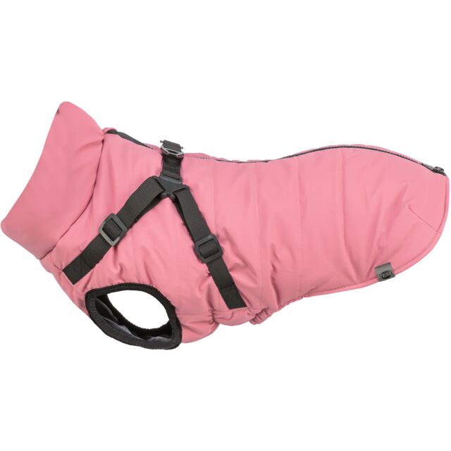 6803412 Pontis Reflect coat with harness, XS: 30 cm, pink