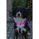 12676 Flash light band USB, silicone, M-L: 50 cm/30 mm, pink