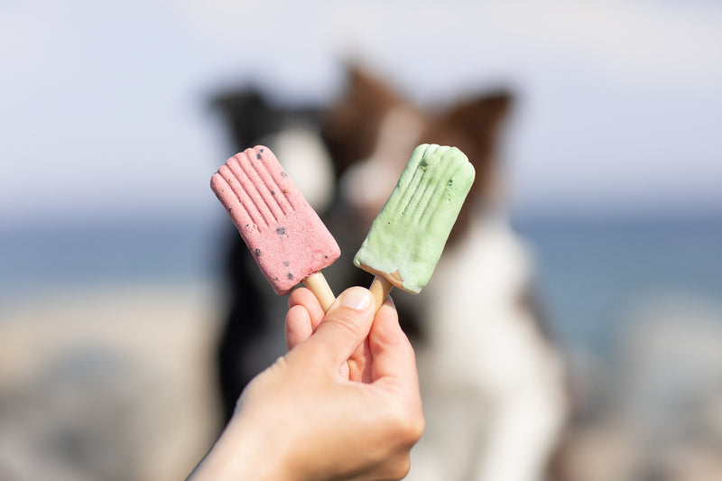 91991 Ice Pop, 55 g, green