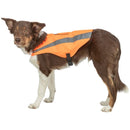 30086 Safety vest, reflective, S: 35 cm, neon orange