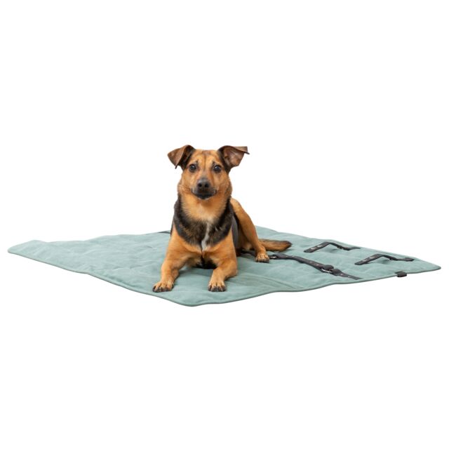 373020 Travel blanket, square, 80 x 80 cm, sage