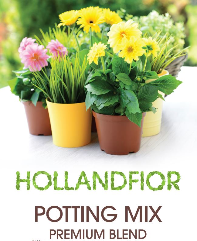 Hollandfior Premium Blend Size 1