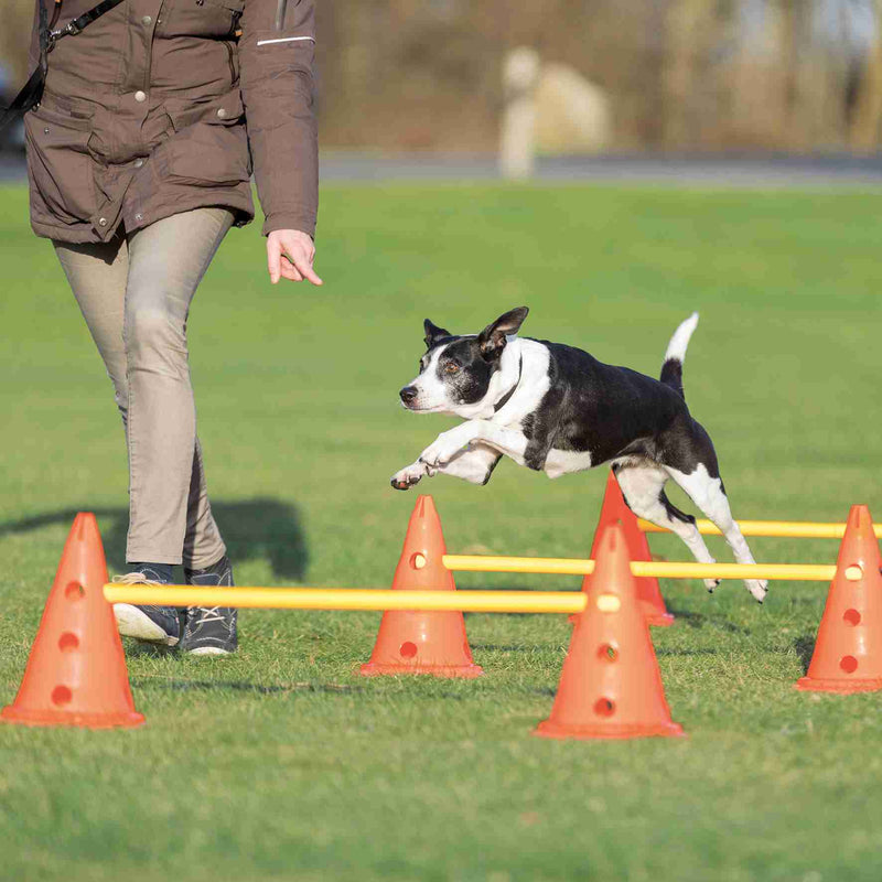 32091 Dog Activity Obstacles, set 3 pcs., diam. 23 x 30 cm, 78 cm, orange & yellow