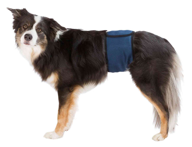 23663 Belly band for male dogs, M: 45-55 cm, dark blue