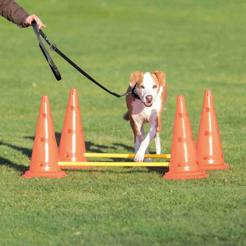 32092 Dog Activity Obstacles, set 2 pcs., diam. 30 x 50 cm, 100 cm, orange & yellow