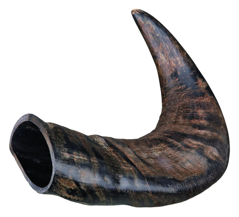 27742 Genuine buffalo chewing horn, medium
