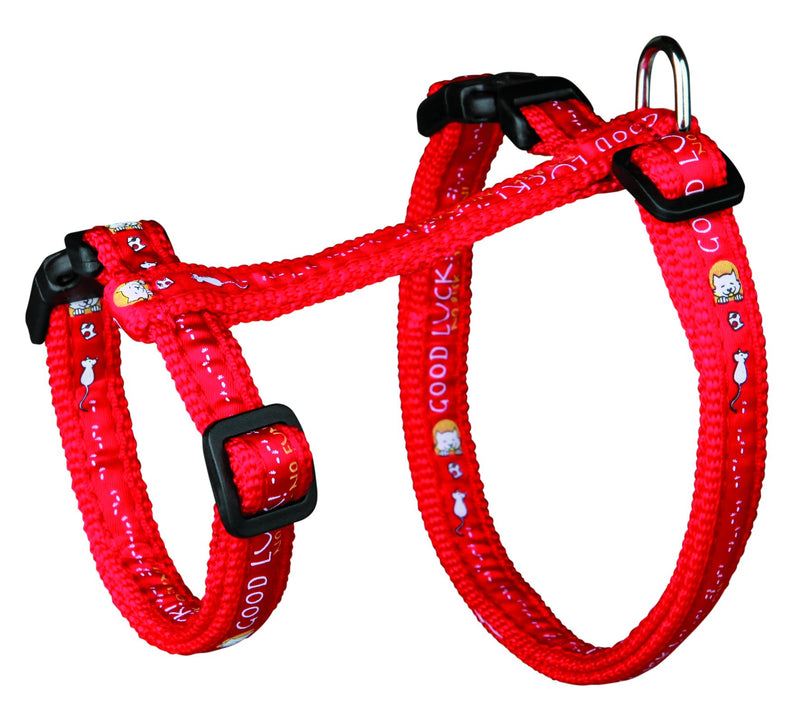41893 Cat harness with leash, XL, nylon, 34-57 cm/13 mm, 1.20 m