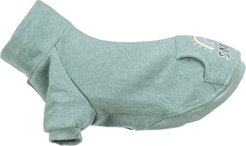 680811 Littleton sweatshirt, XXS: 21 cm, mint