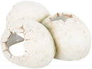 76326 Reptile cave eggs polyester resin, 15 X 6 X 12 cm