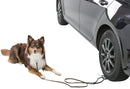 13099 Drive-on plate for dog leash, 12 X 31 cm,